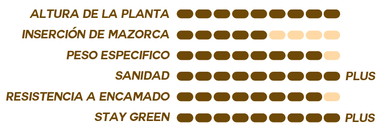 SemillaMaizASTONEspecificacionesOleokelsaOleomaiz