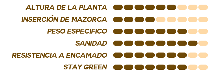 SemillaMaizGEPPETOEspecificacionesOleokelsaOleomaiz
