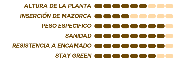 SemillaMaizInspiriaEspecificacionesOleokelsaOleomaiz 1